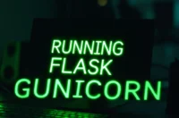 Cover illustration for an article about Running Flask with Gunicorn and Nginx